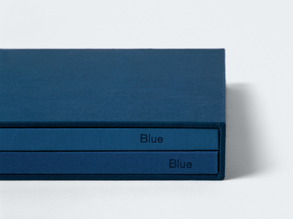 THE BLUE BOOKS