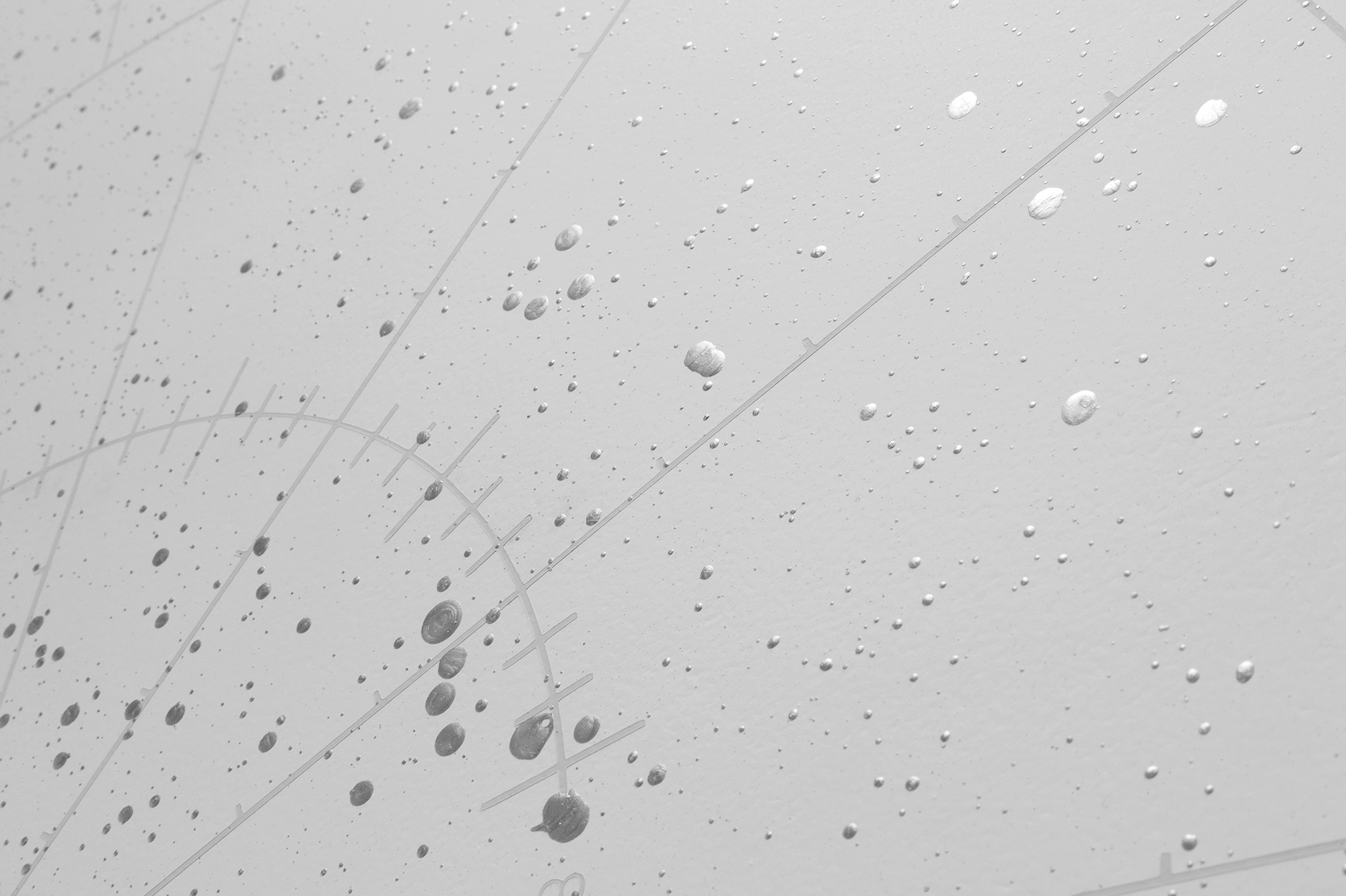 ANONYMOUS CONSTELLATION series