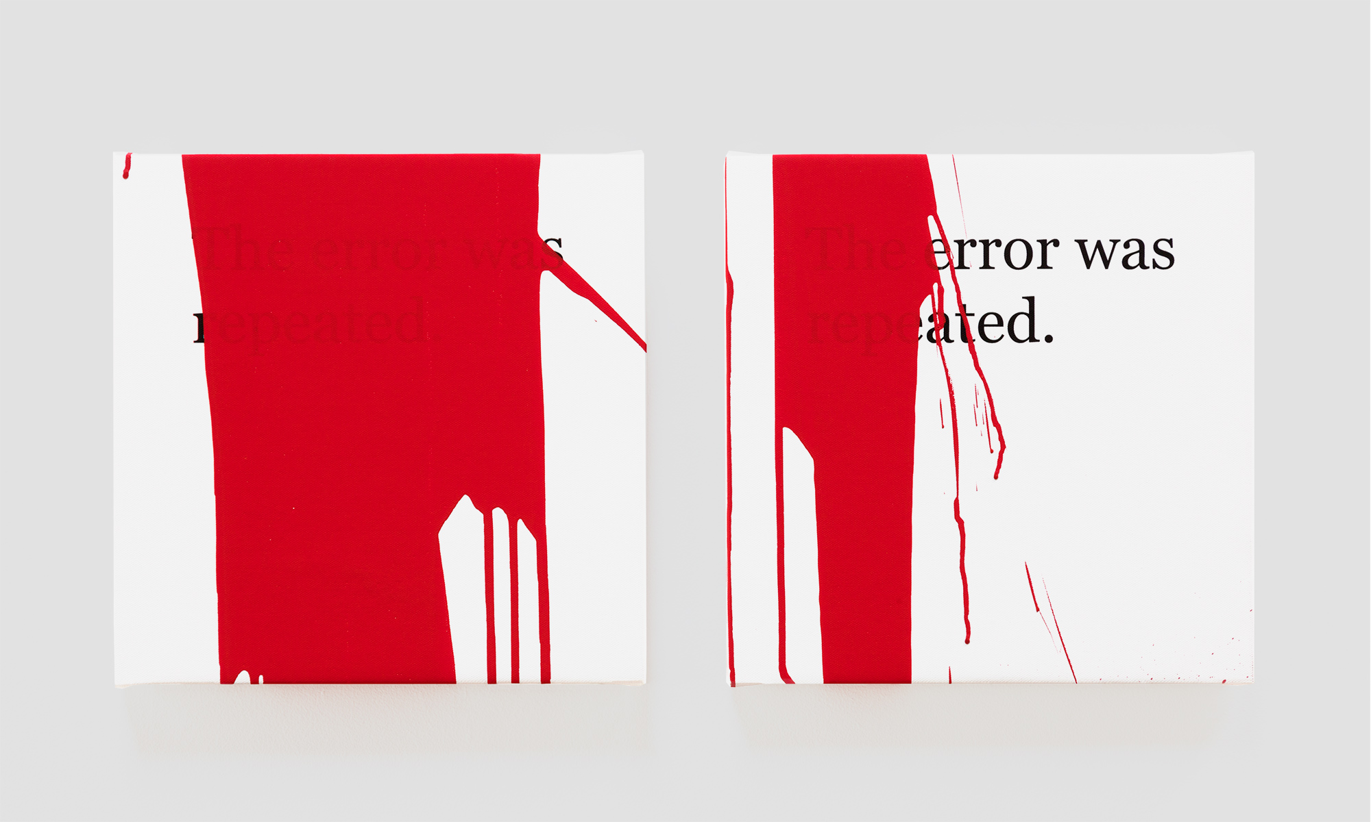 THE ERROR WAS REPEATED series