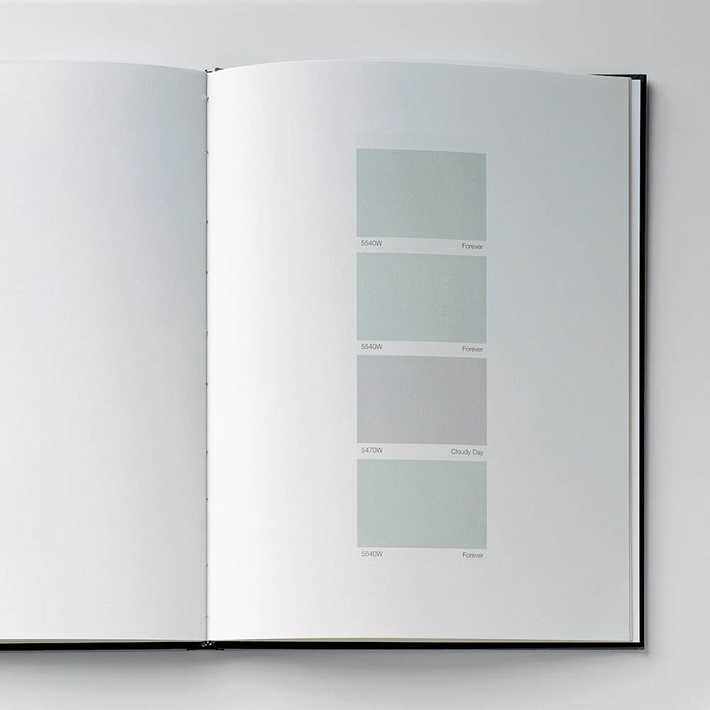 REMARKS ON COLOR