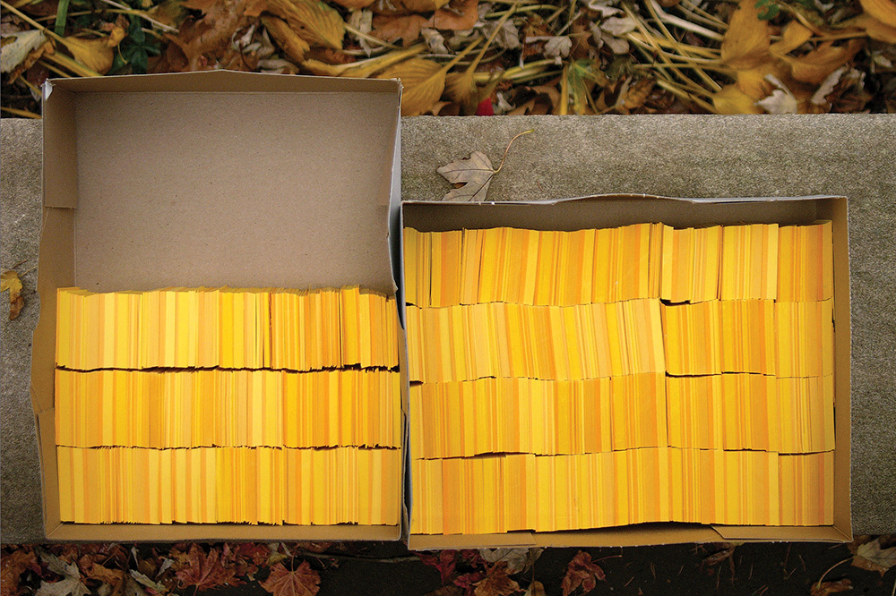 YELLOW INTERVAL