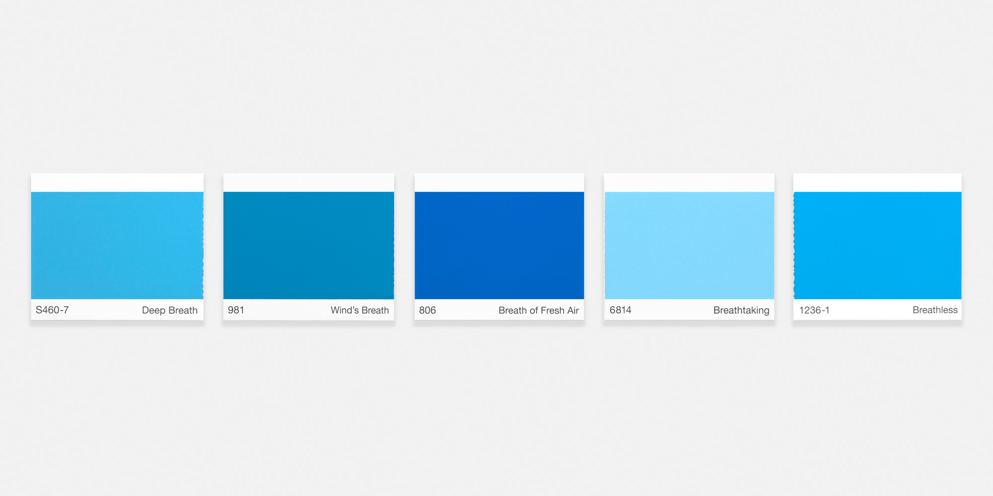 PAINT CHIP PAINTINGS